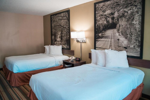 Super 8 by Wyndham Columbia SC / Ft. Jackson image 23